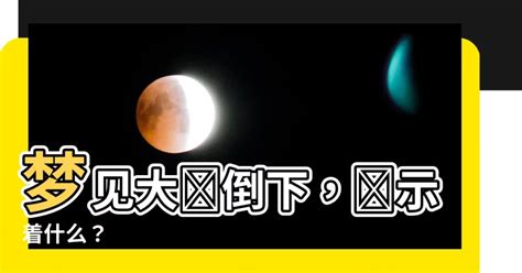 夢見大樹倒下 四月17是什麼星座